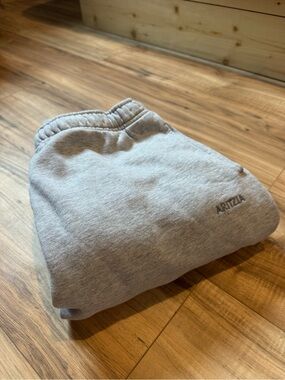 Aritzia Cozy Sweatfleece Mega Jogger